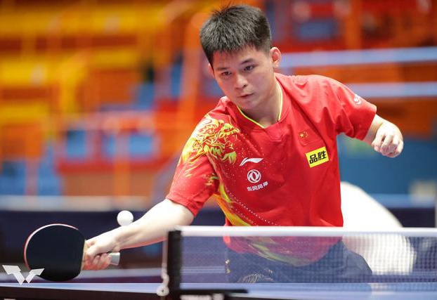 置常依赖双 置常依赖双