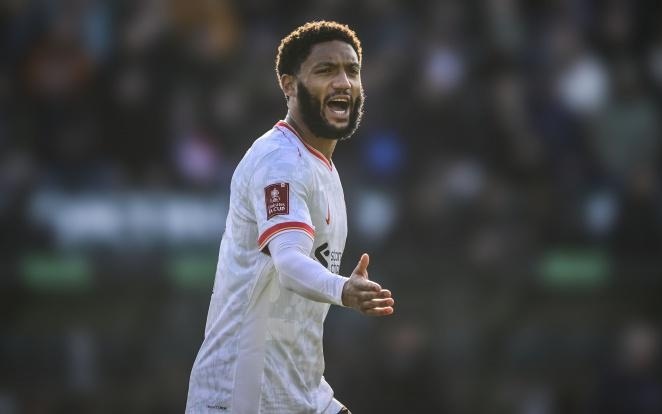 度让申花看 度让申花看